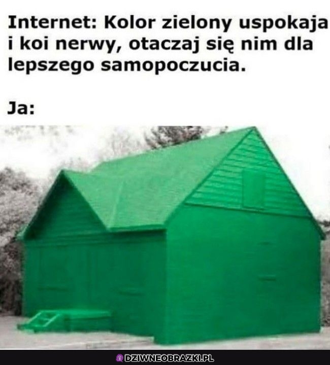 Tego potrzebuję