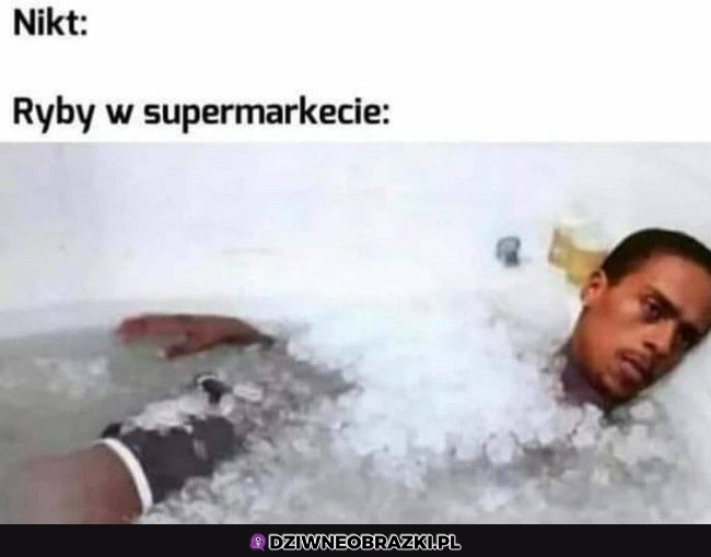 Ryby w markecie