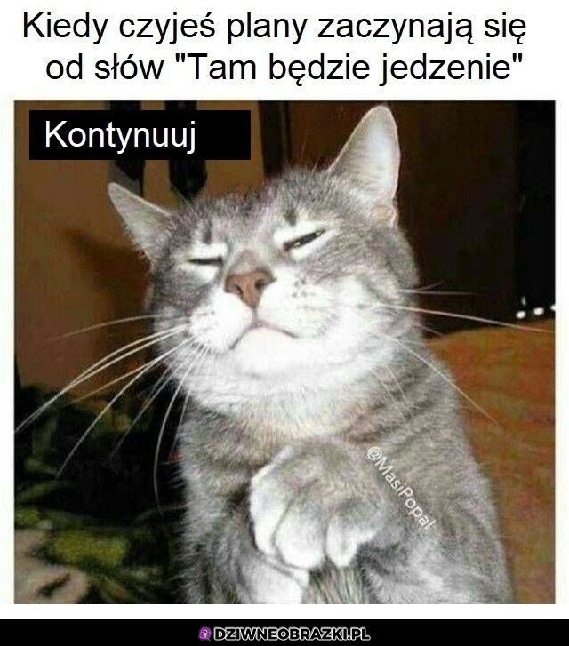 Takie plany mi się podobają