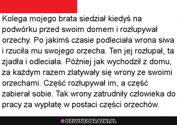 Biznes to biznes