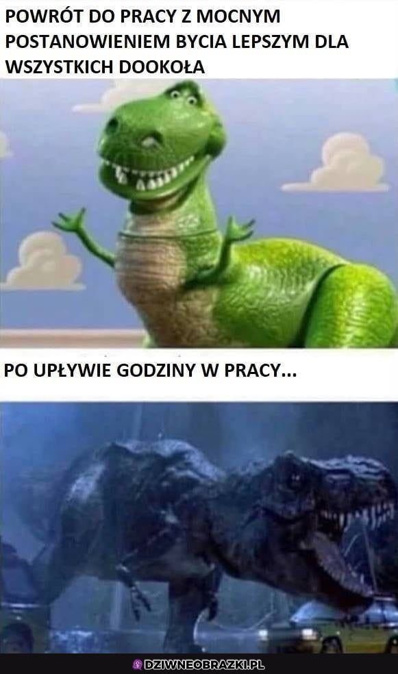 Kiedy wrócisz po urlopie
