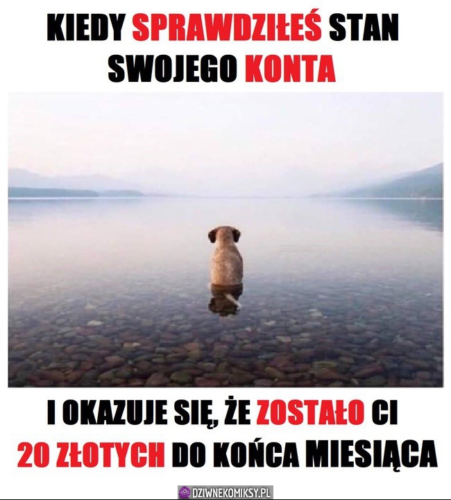 Jak żyć