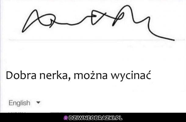 Diagnoza