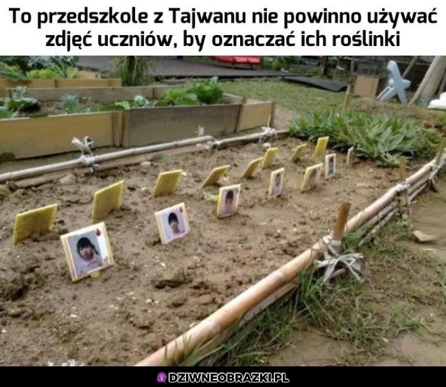 Kiepski pomysł
