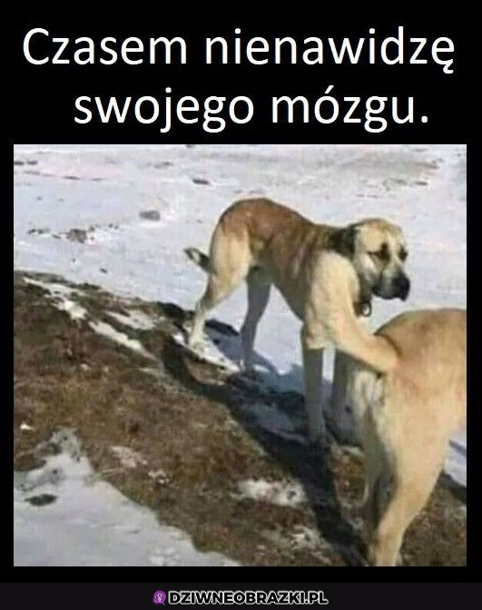 Wiem, że też to zobaczyłeś