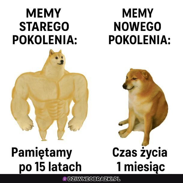 Memiszcza wiecznie żywe 