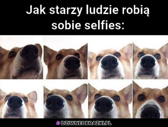 Selfie starych ludzi
