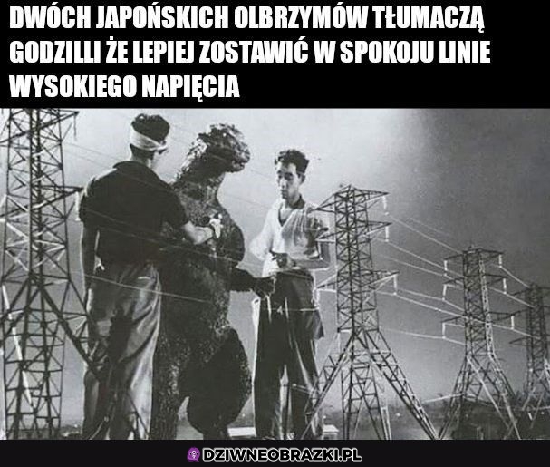 Wyjaśnienia