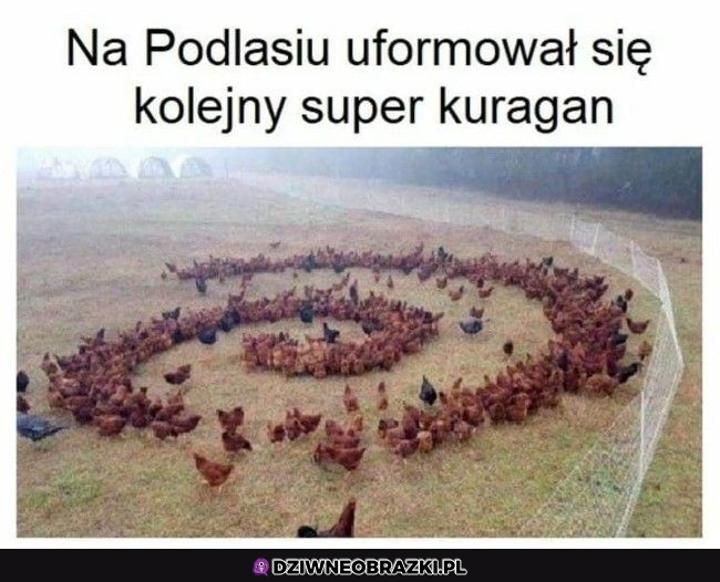 Kuragan