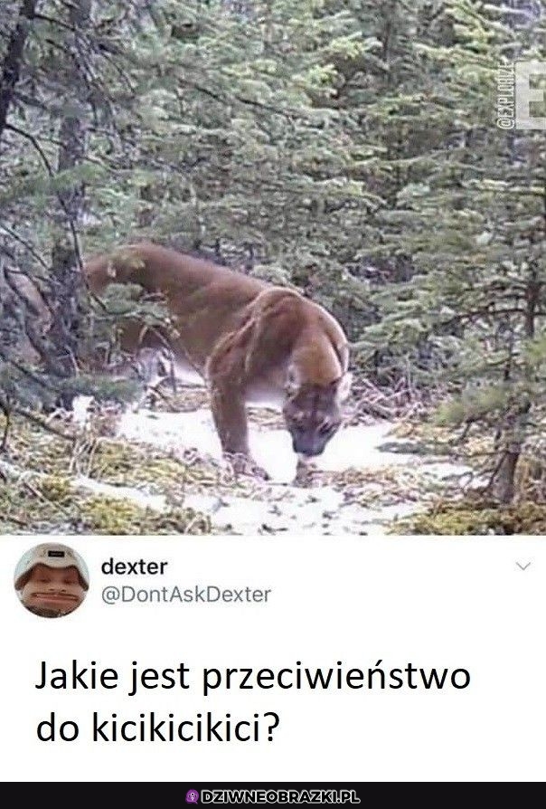 Potrzebne info na już