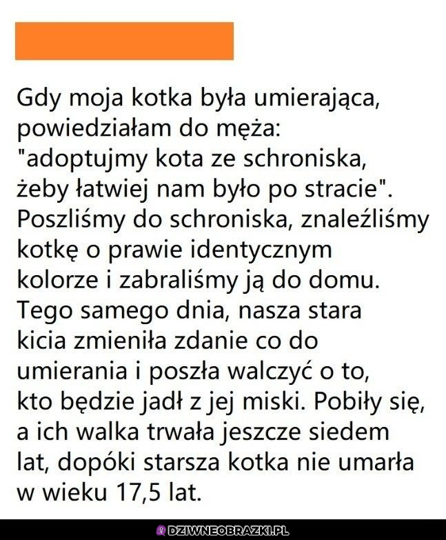 To nie tak miało być