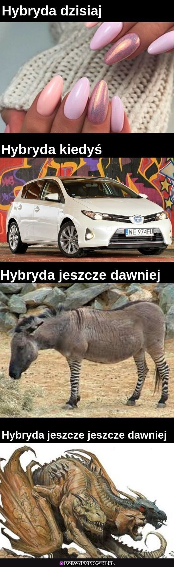 Hybrydy