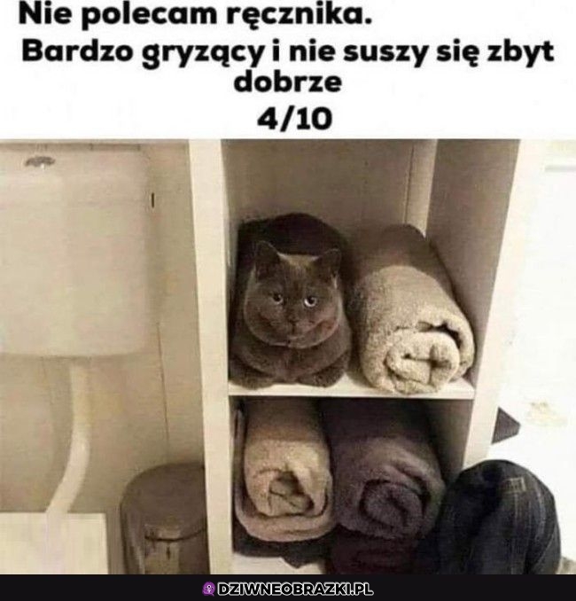 Ręczniczek