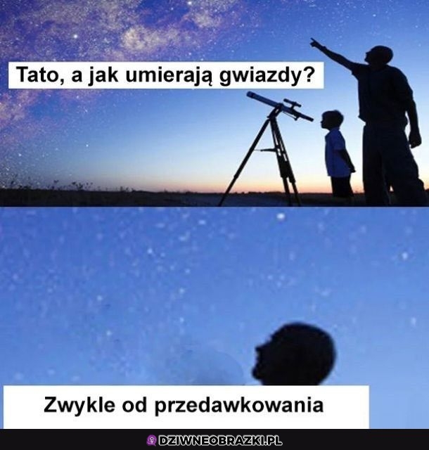 Zwykle tak