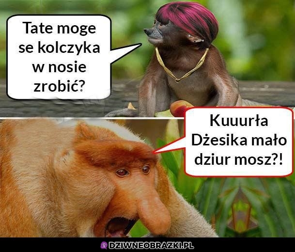 Kiedy Dżesika chce zrobić kolczyka