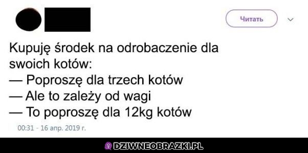 Odrobaczanie kotów