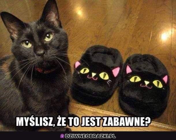 Bawi cię to człowieku?
