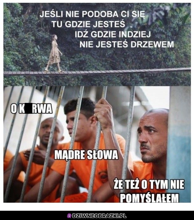 Mądre słowa