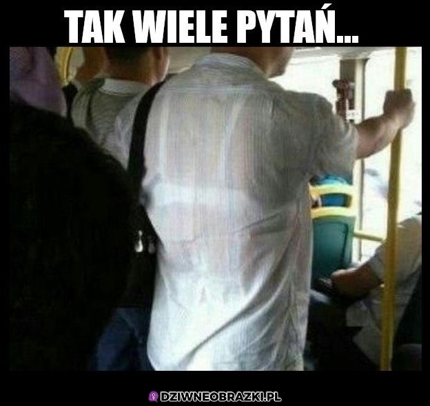 Pytania