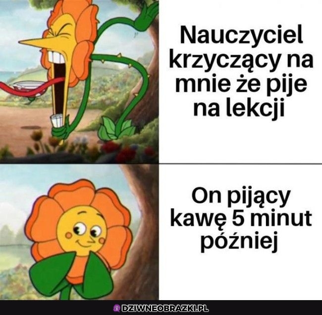 Oj tam oj tam