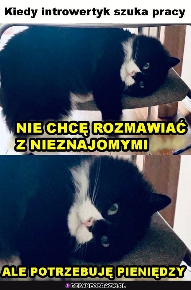 Ten moment