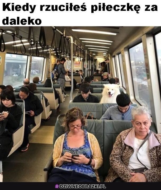 Ech, za daleko poleciała