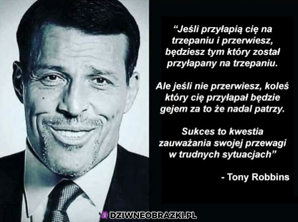 Piękny cytat