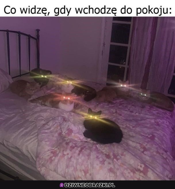 tylko oczka się świecą :3