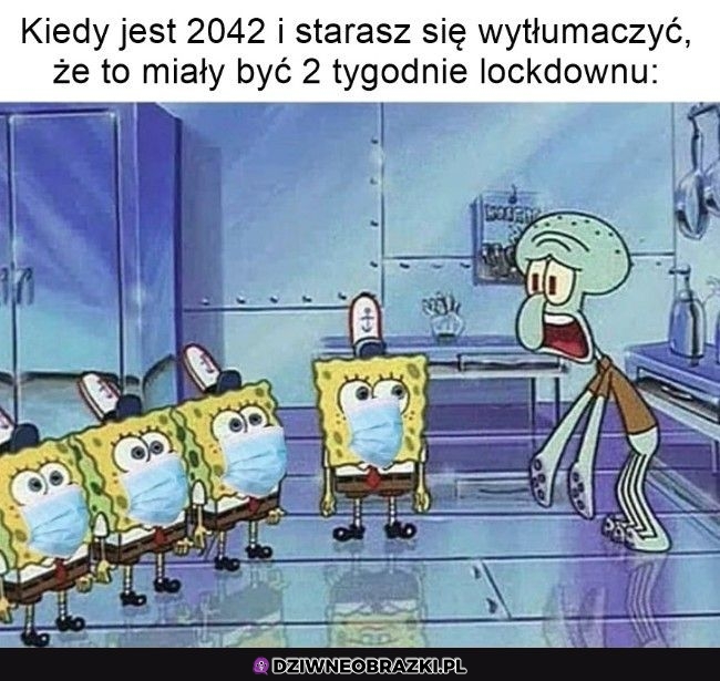 A już zaraz rok będzie