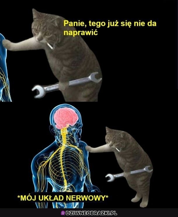 Nic tu nie pomogę