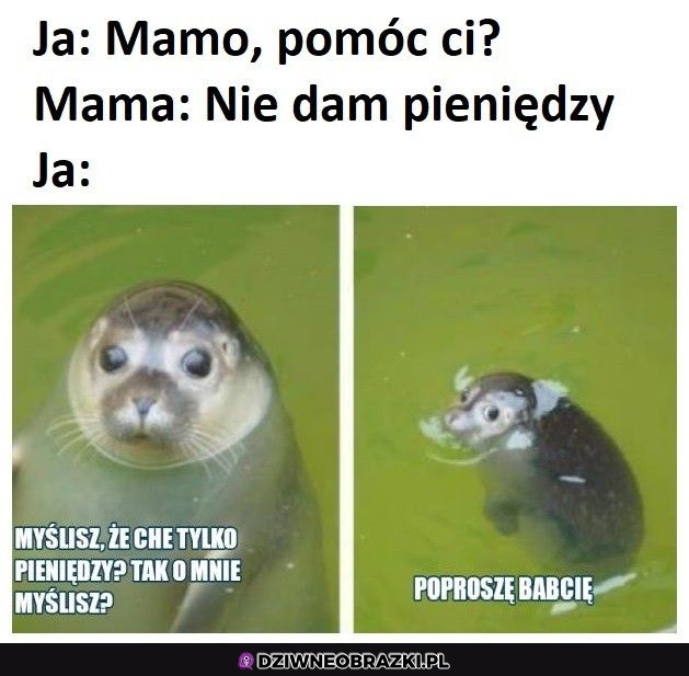 Ten moment