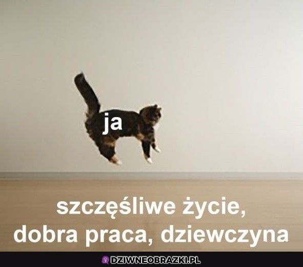 To ja