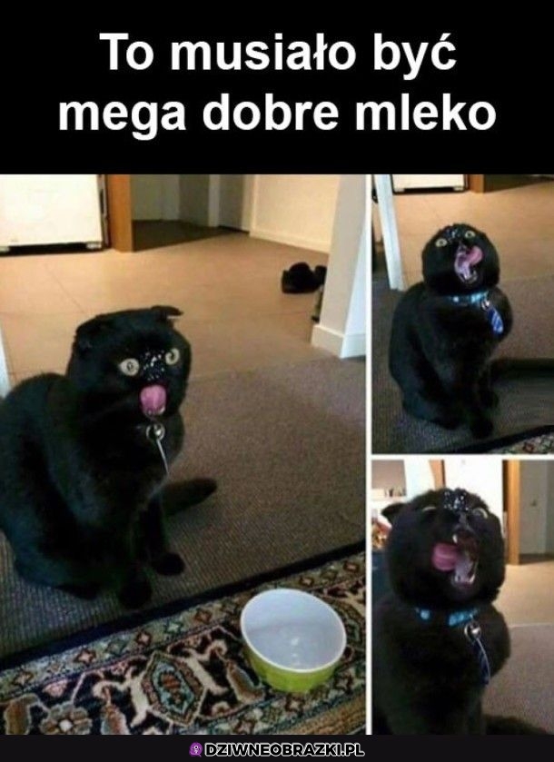 Mega mleko