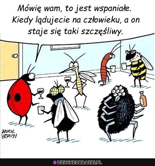 Kiedy oni widzą to inaczej