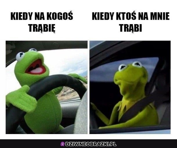 Trąbienie w furze