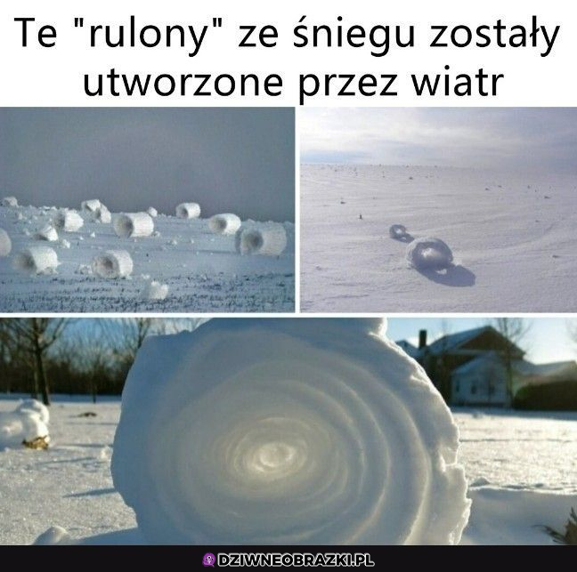 Epickie rulony