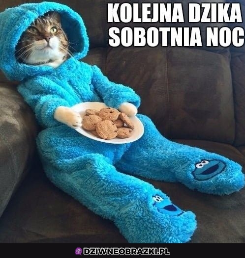 Dzika sobotnia noc