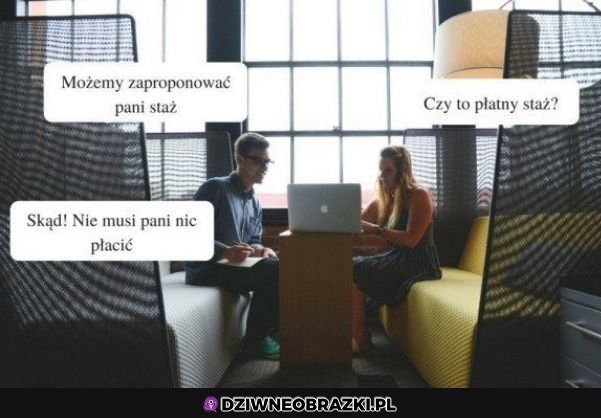 Staże w Polsce