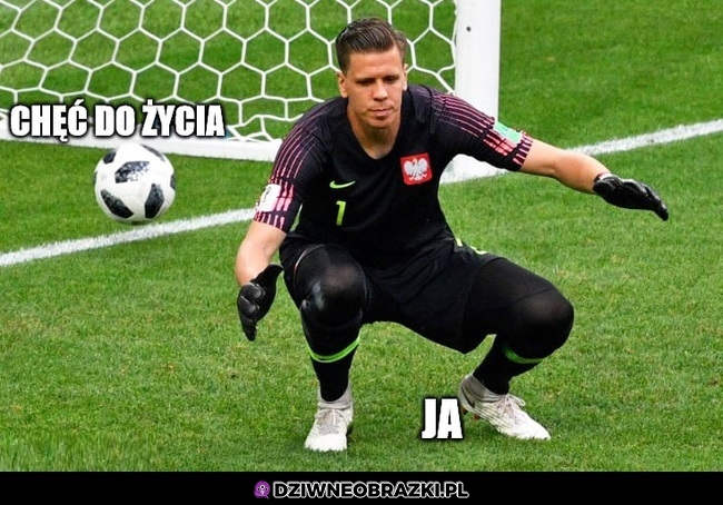 Chęci do życia