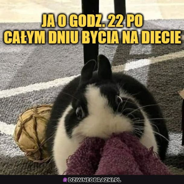 Kiedy jesteś na diecie