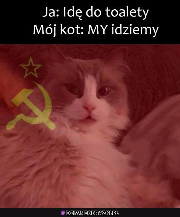Kiedy chcę do toalety