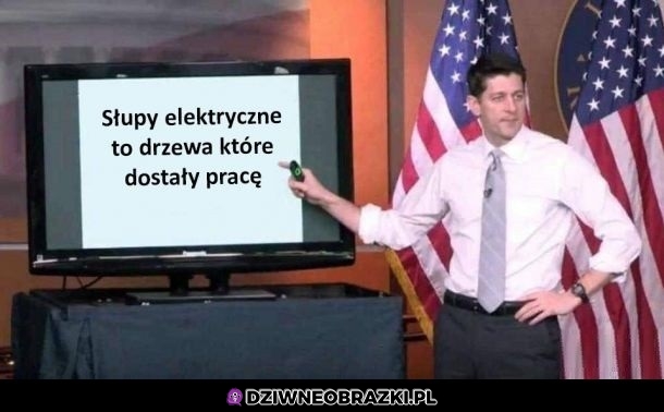 Tak jest