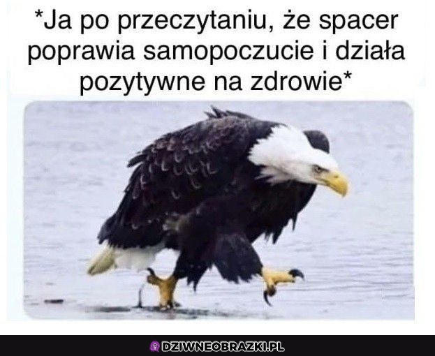 To właśnie ja