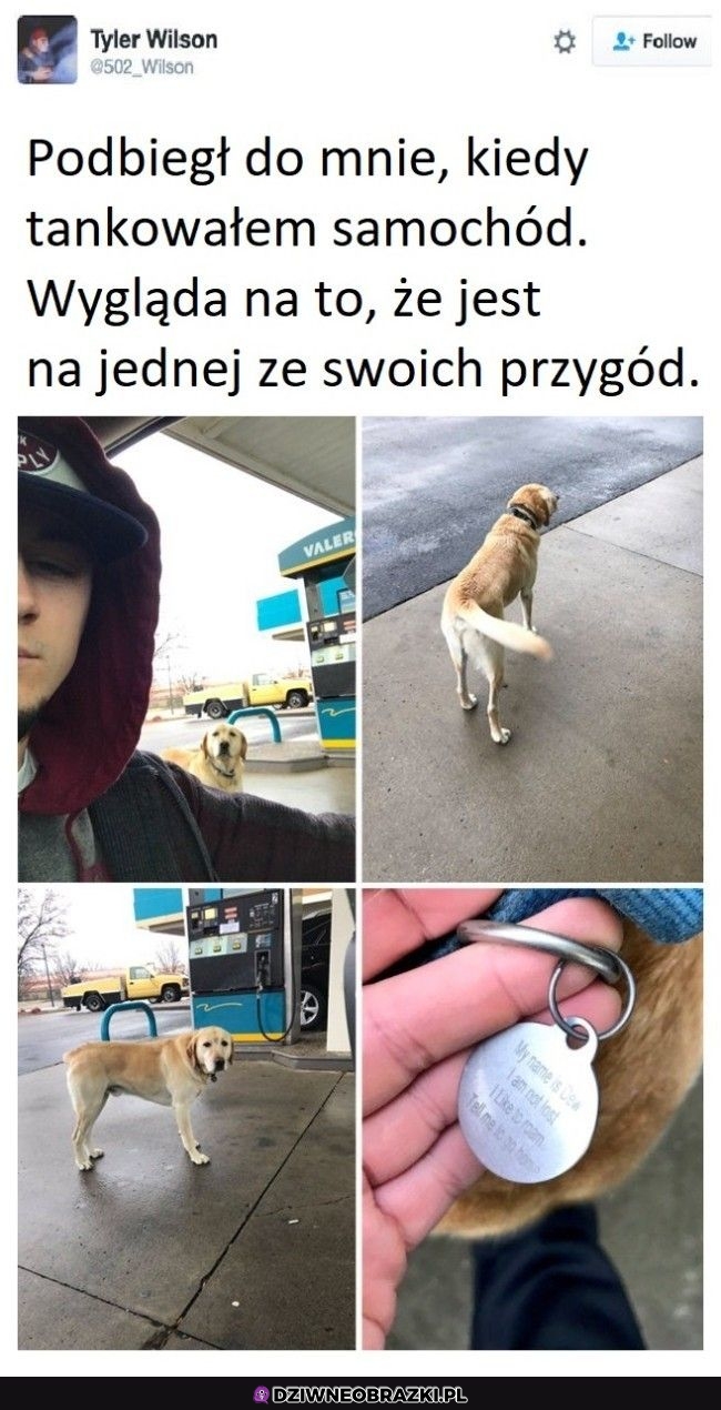 Poszukiwacz przygód