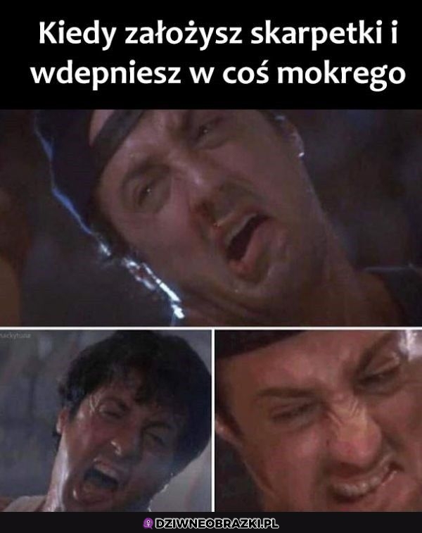 Ten moment