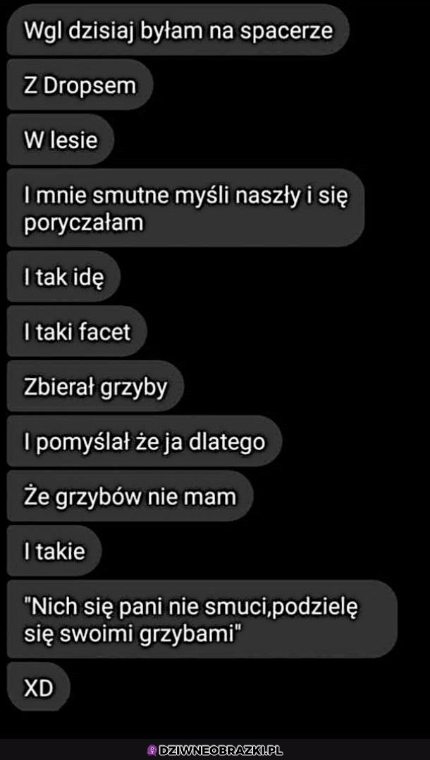 Oszustwo w lesie