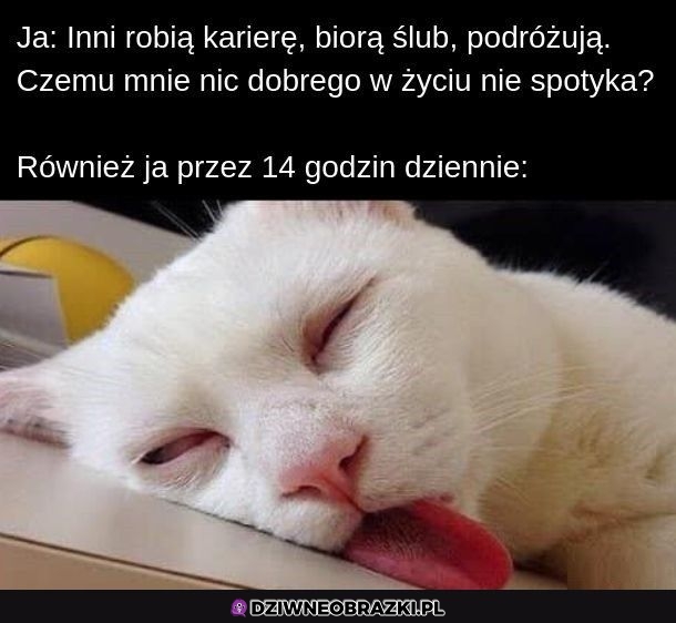 To ja