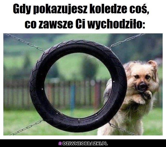 Prawie