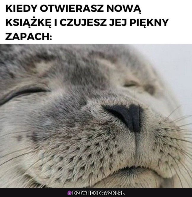 Zapach książki