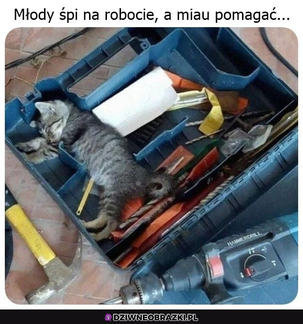 Młody w robocie... 